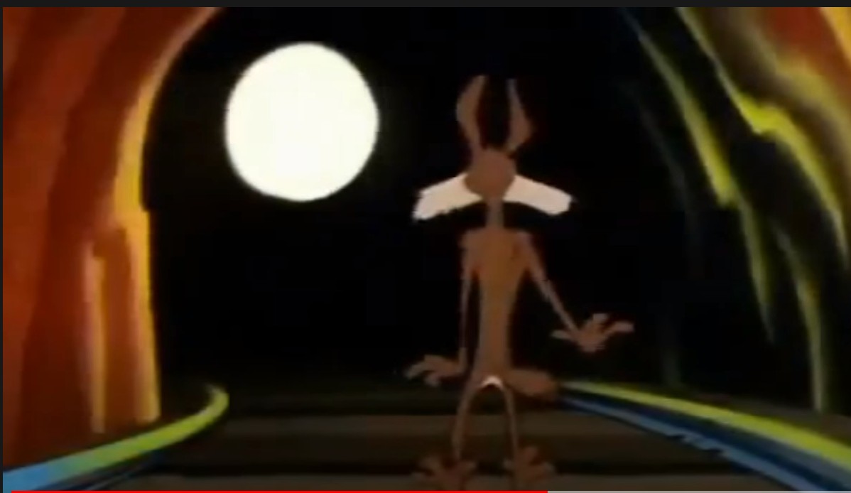 wile coyote.jpg