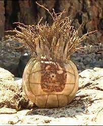 wilson.jpg