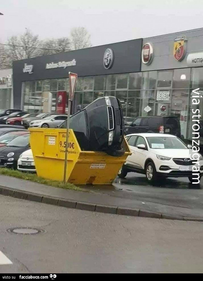 wxvnrvc2zu-vaccata_b.jpg