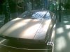 Mangusta buona.jpg