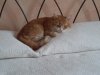 20161013_095540.jpg