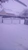 IMG-20161113-WA0000.jpg