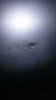 20161116_210909.jpg