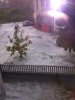 CAM01016.jpg