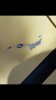 Screenshot_20190821-161013_Gallery.jpg