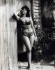 Z - ISABEL SARLI - Bellezza anni '50.jpg