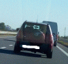 Cattura.GIF
