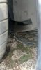 IMG_6808.jpeg