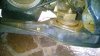 WP_20170916_011.jpg