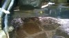 WP_20170916_013.jpg