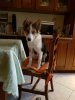 IMG-20171024-WA0006.jpg