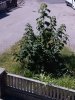 CAM00744.jpg