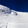 albivlv_1729602388