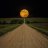 Moon_Moon