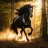 TheBlackStallion