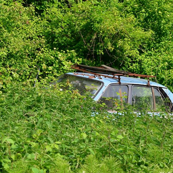 Parcheggio lunga sosta